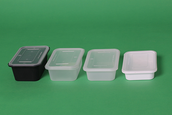 Food Containers Plastic Takeaway Microwave Freezer Safe Storage